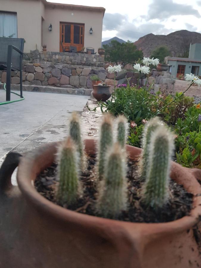 Appartamento Tierra Primitiva Tilcara Esterno foto